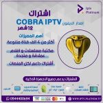 إشتراك كوبرا 12 شهر